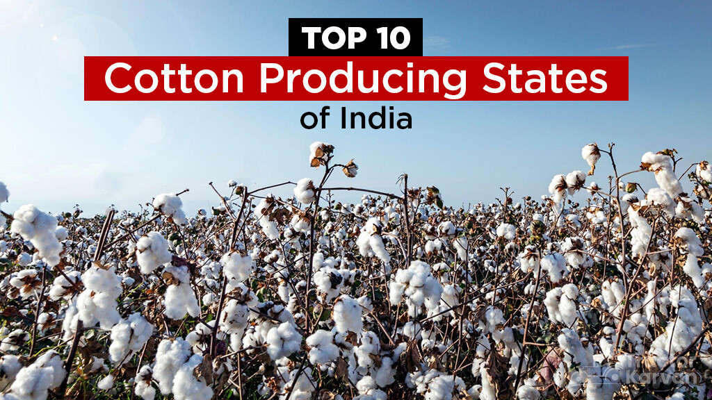 Top 10 Cotton Producing States of India in 2023