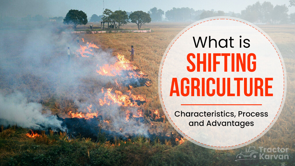 What is Shifting Agriculture: Characteristics, Process and Advantages