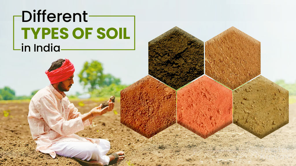 Different Types of Soil in India and Their Uses
