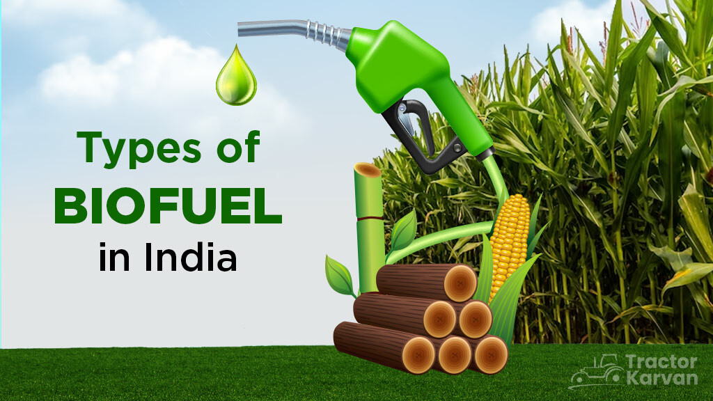 Types of Biofuels: Advantages, Disadvantages, and its Impact on Indian Agriculture
