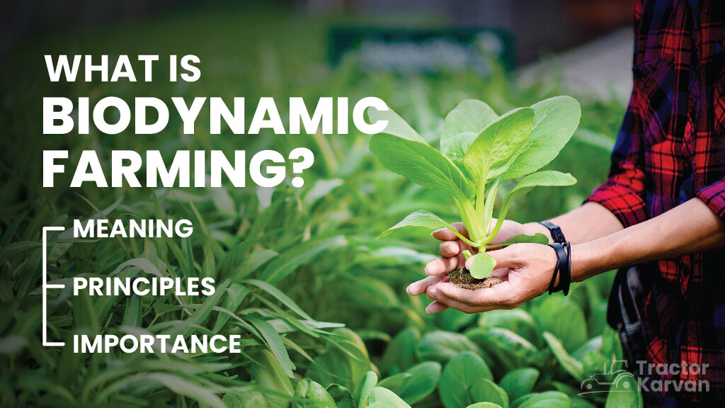 Know Everything About Biodynamic Farming in India