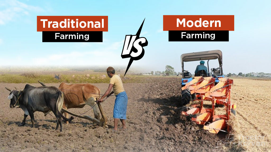 Top 5 Differences Between Traditional and Modern Farming