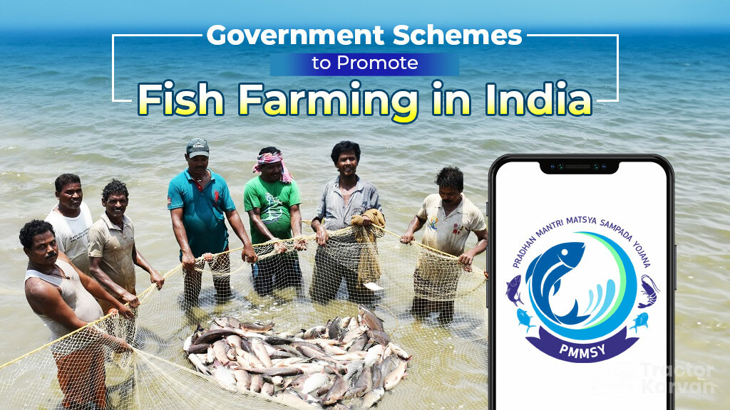 Government Schemes to Promote Fish Farming in India 2023