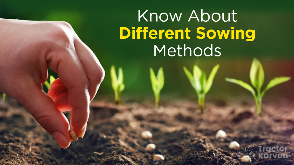 Know About Sowing Seeds and Different Sowing Methods