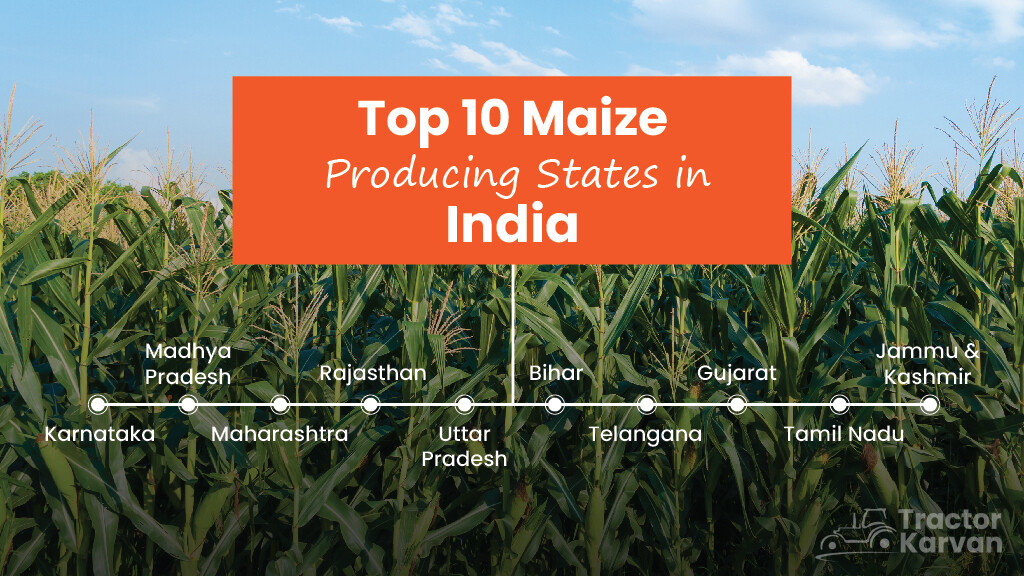 Top 10 Maize Producing States in India in 2023: A Complete List