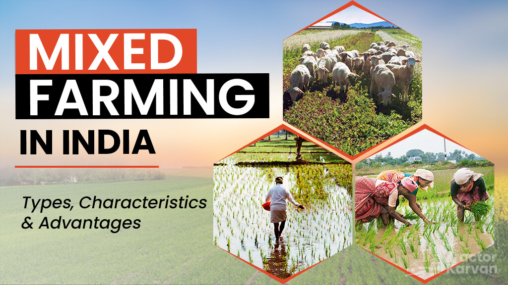 Mixed Farming in India – Types, Characteristics and Advantages