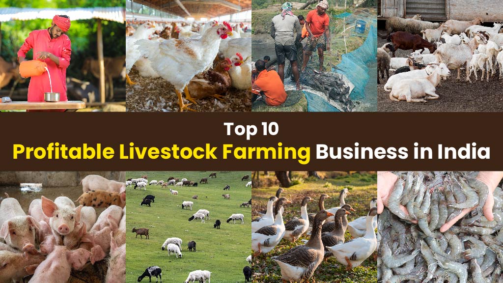 Top 10 Profitable Livestock Farming Business in India