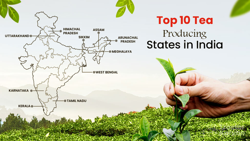 Top 10 Tea Producing States in India in 2023