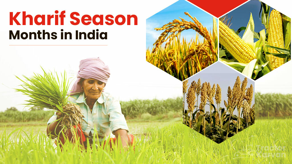 Kharif Season Months in India: Importance, Crop Grown and Contributing Factors