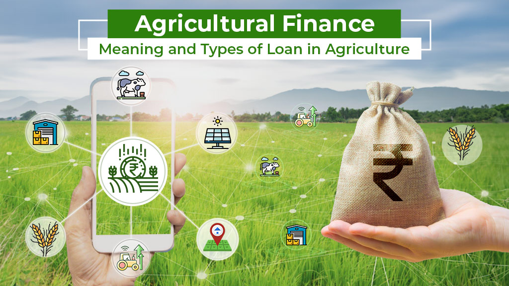 Types Of Loan In Agriculture | Agriculture Finance