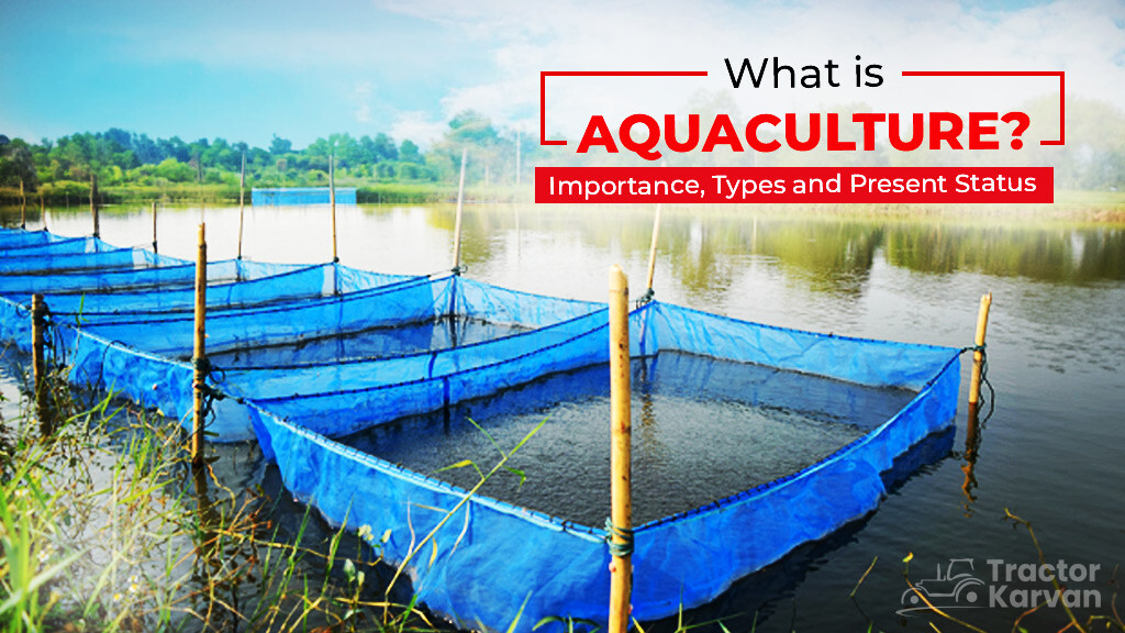 What is Aquaculture: Meaning, Importance and Benefits