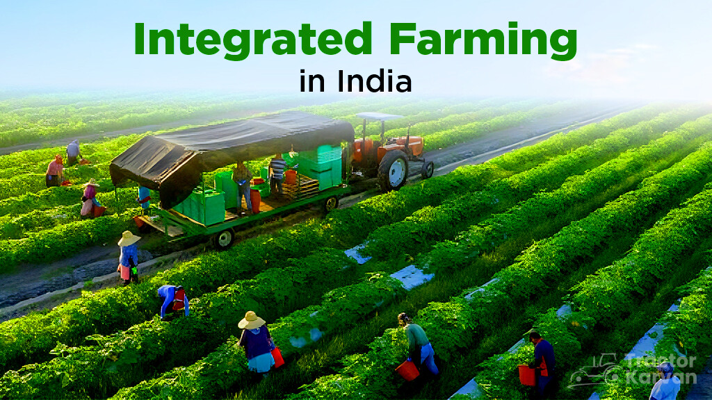 What is Integrated Farming System in India? Components and Importance