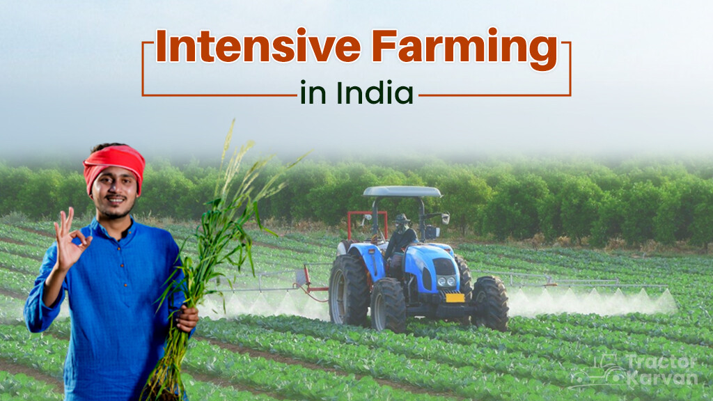 What is Intensive Farming in India: Meaning, Characteristics and Benefits