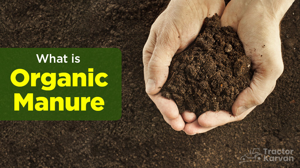 What is Organic Manure: Meaning, Types and Importance in India