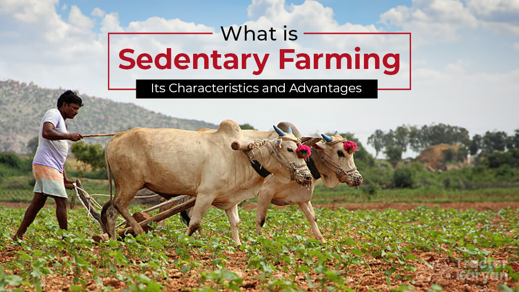 What is Sedentary Farming: Its Characteristics and Advantages