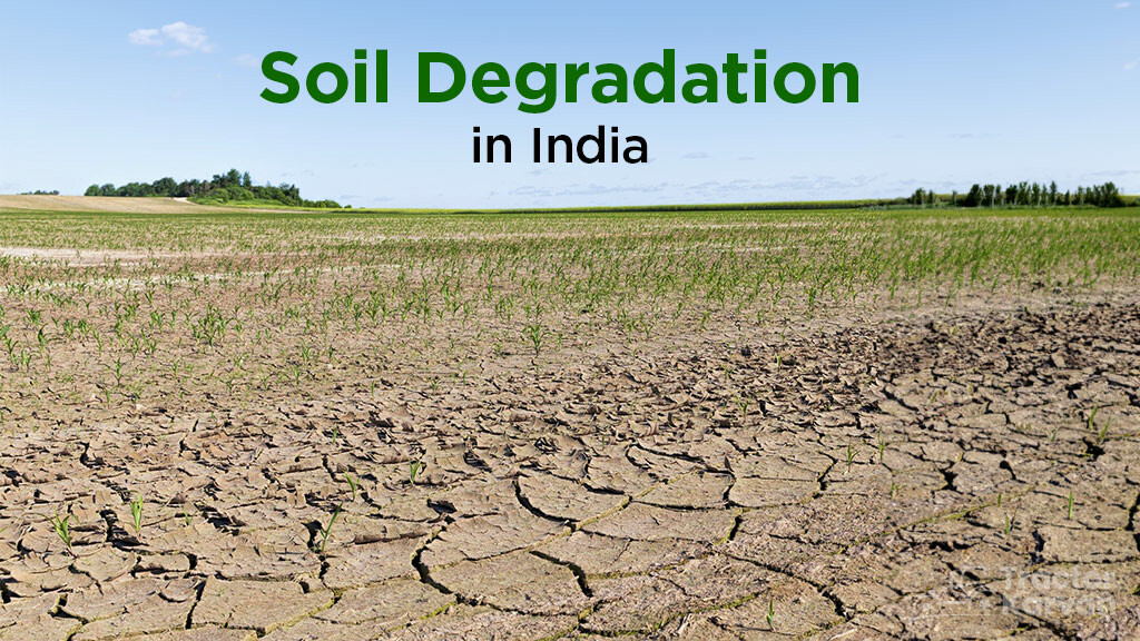 Soil Degradation in India: Meaning, Causes and Solutions