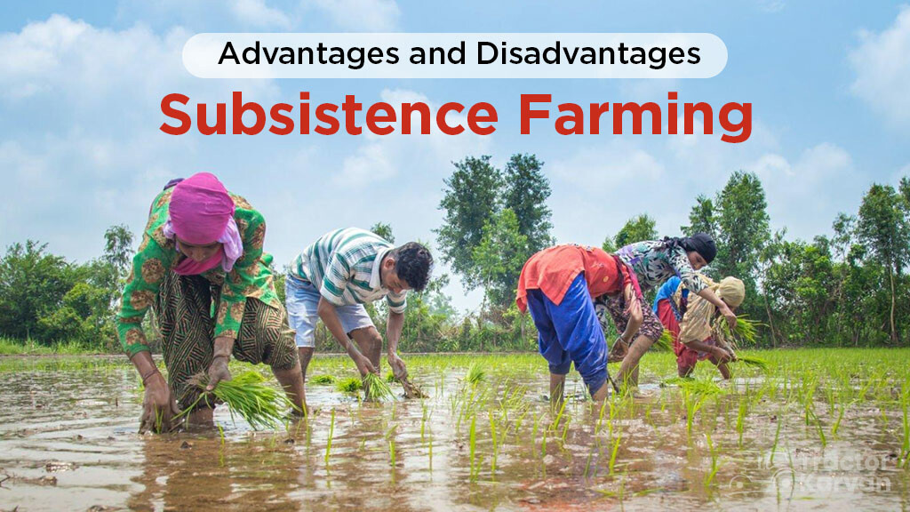 Advantages and Disadvantages of Subsistence Farming in India