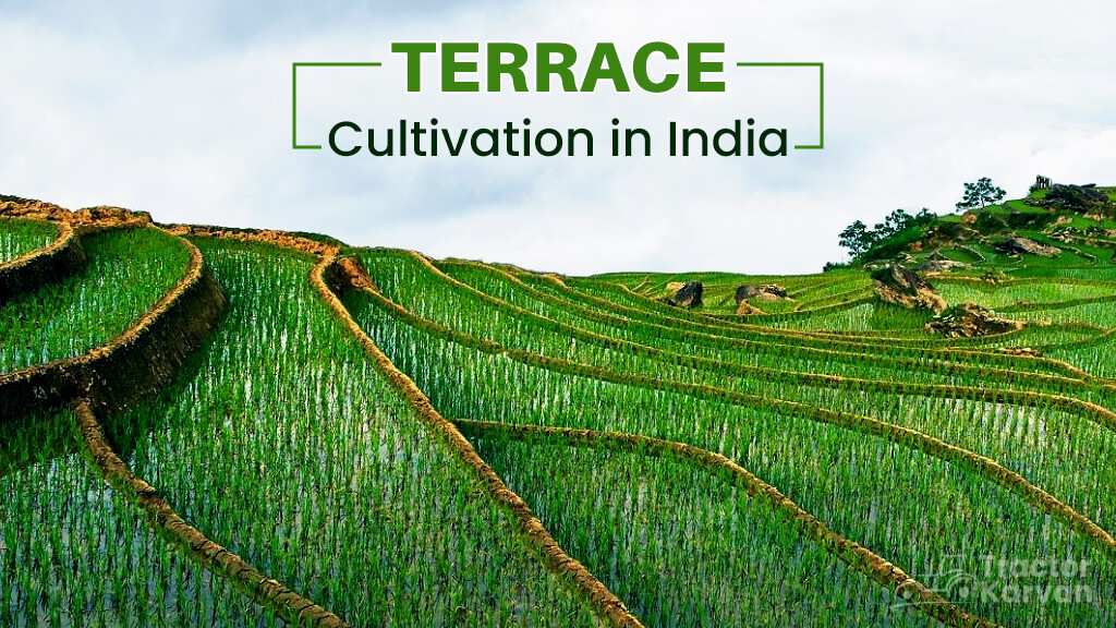 what-is-terrace-cultivation-use-and-benefits-tractorkarvan