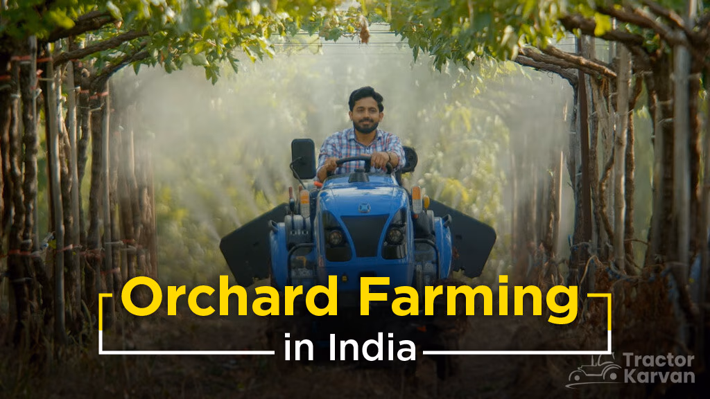 Profitable Orchard Farming in India: Crop Selection & Best Practices