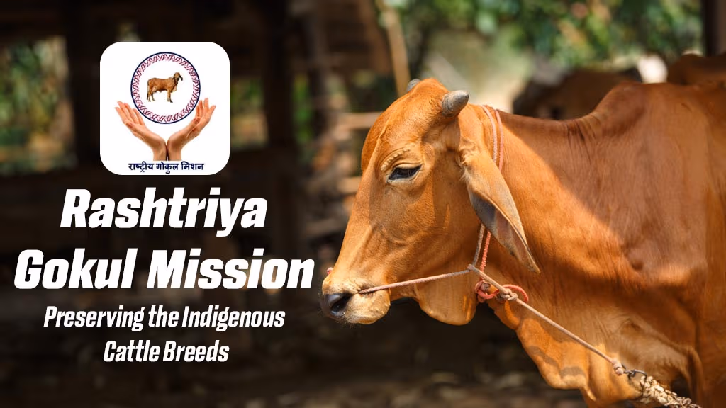 Rashtriya Gokul Mission - Preserving the Indigenous Cattle Breeds