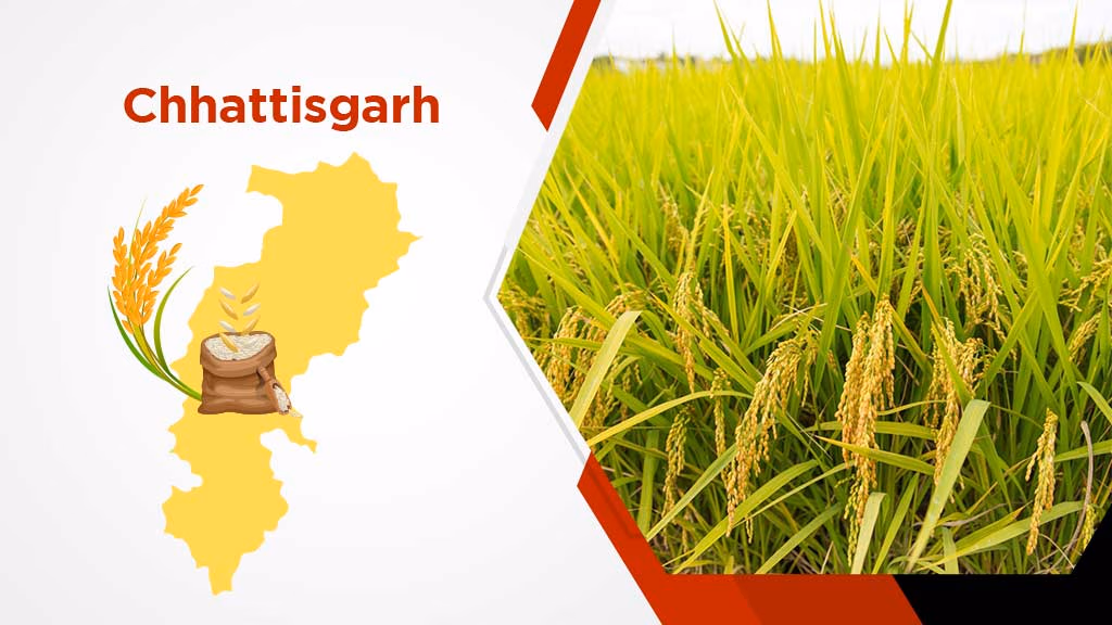 Top Rice Producing States in India - Chhattisgarh
