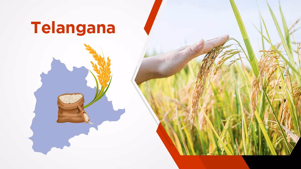Top Rice Producing StatesTelangana