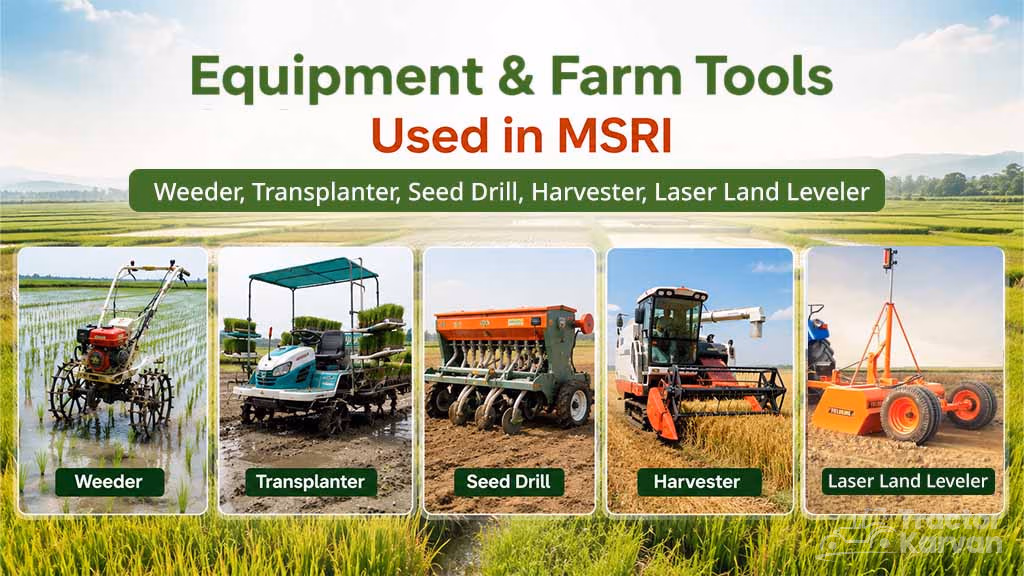 Mechanized System of Rice Intensification - Equipment & Farm Tools Used in MSRI
