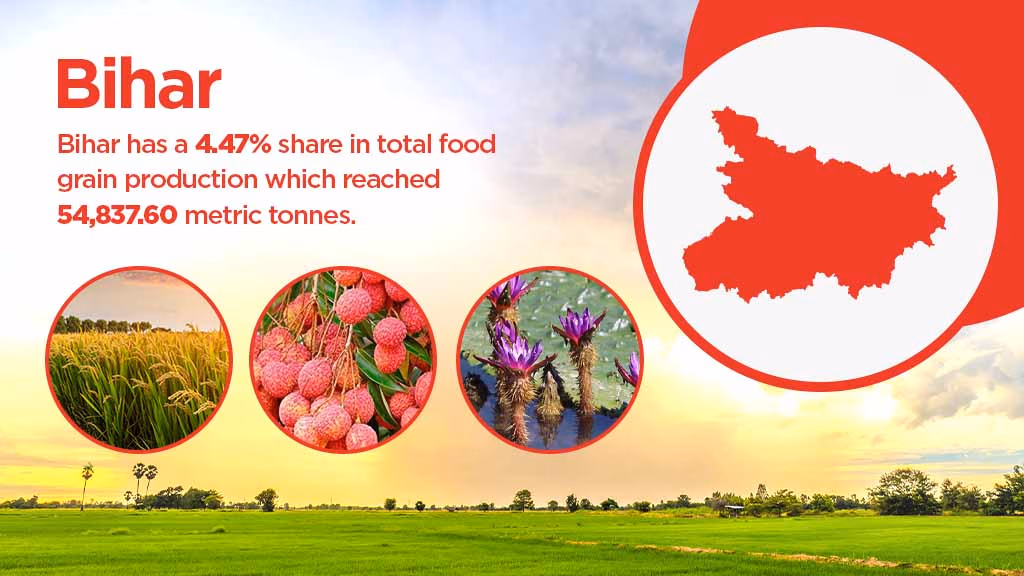 Top agriculture producing states - Bihar