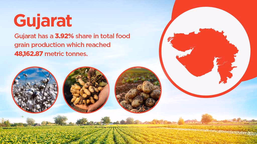 Top agriculture producing states - Gujarat