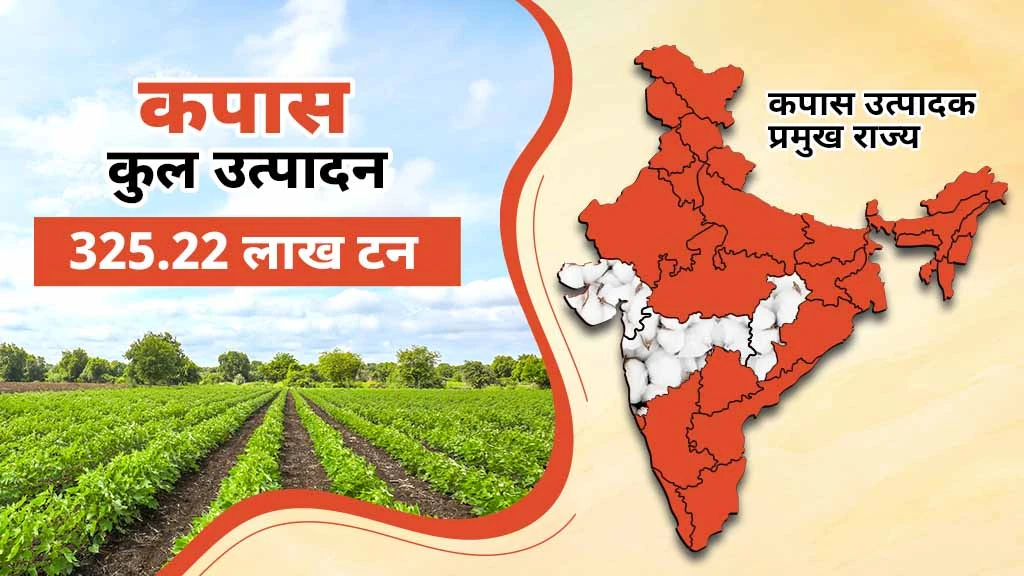 नकदी फसलें क्या हैं-कपास