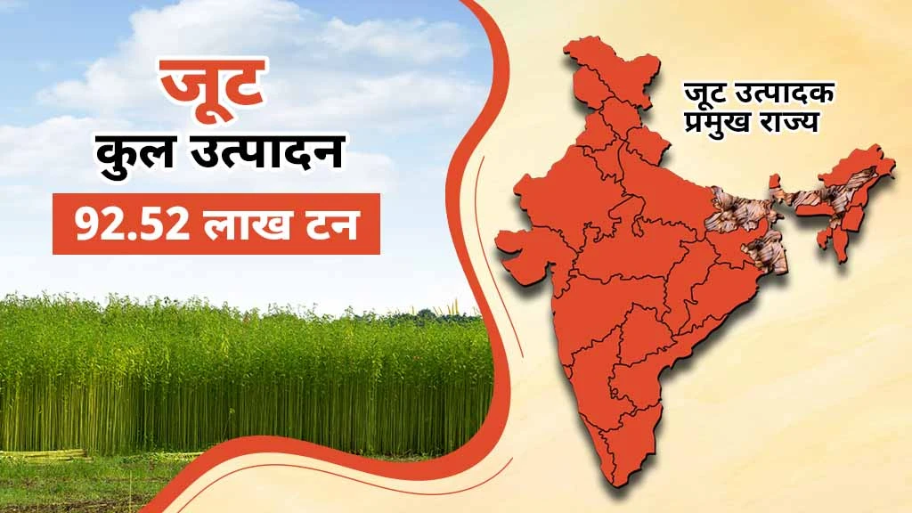नकदी फसलें क्या हैं-जूट