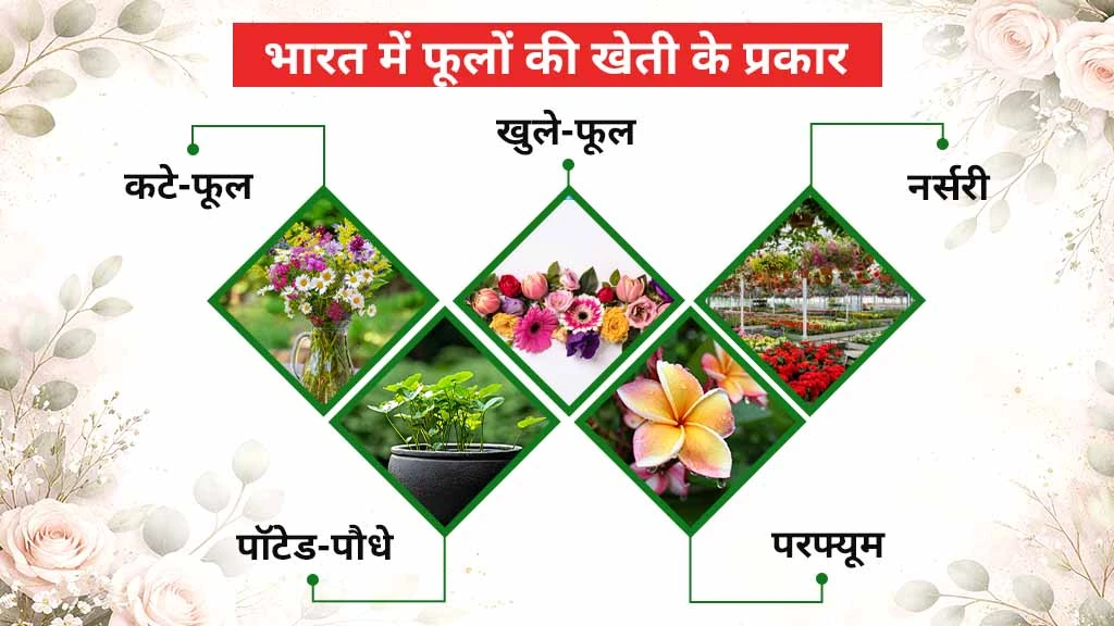 फूलों की खेती कैसे शुरू करें - भारत में फ्लोरीकल्चर के विभिन्न प्रकार कौन-से हैं