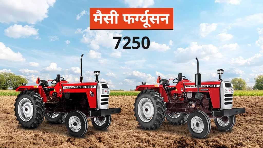 टॉप मैसी फर्ग्यूसन ट्रैक्टर - मैसी 7250