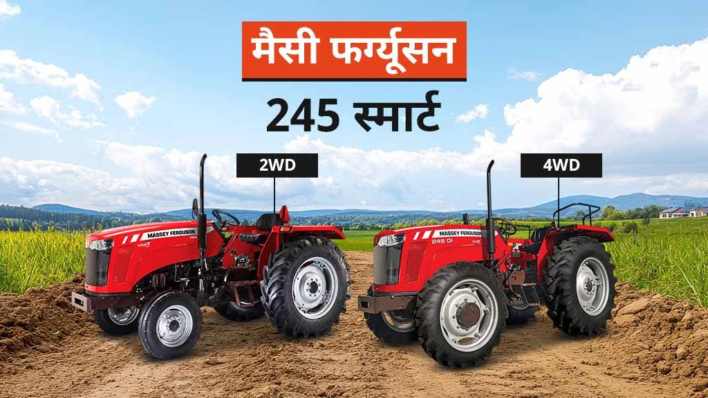 टॉप मैसी फर्ग्यूसन ट्रैक्टर - मैसी 245
