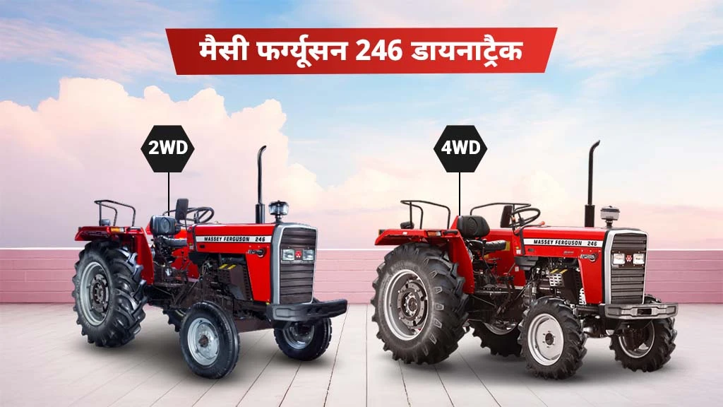 मैसी फर्ग्यूसन डायनाट्रैक सीरीज ट्रैक्टर्स - मैसी फर्ग्यूसन 246 डायनाट्रैक