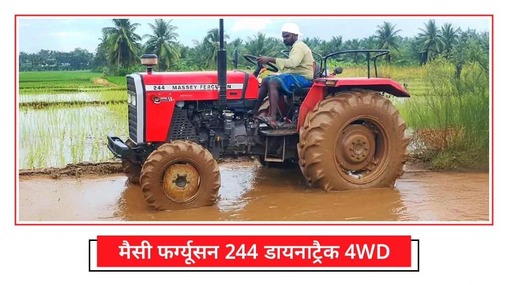 पडलिंग स्पेशल ट्रैक्टर - मैसी फर्ग्यूसन 244 डायनाट्रैक 4WD