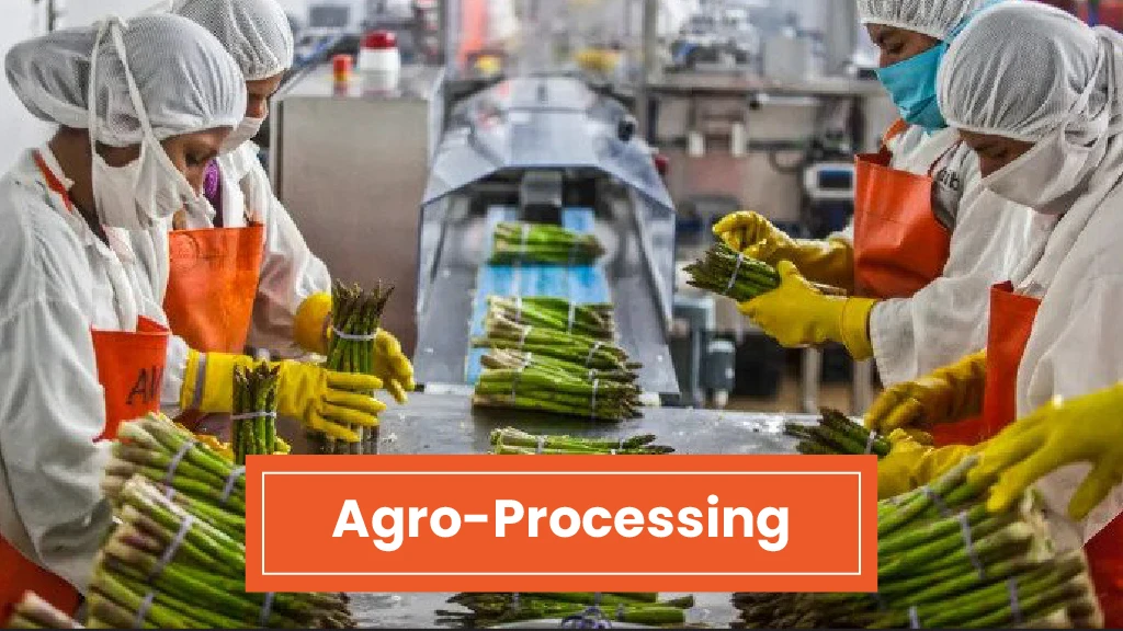 Top Agri Business - Agro Processing