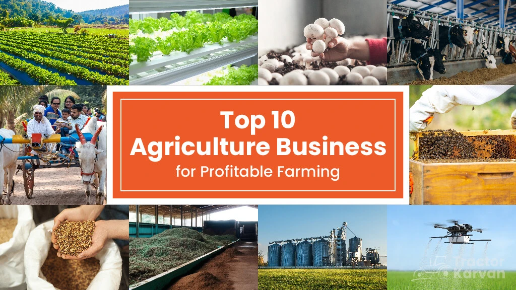 Top 10 Agriculture Business Ideas in India for Profitable Farming