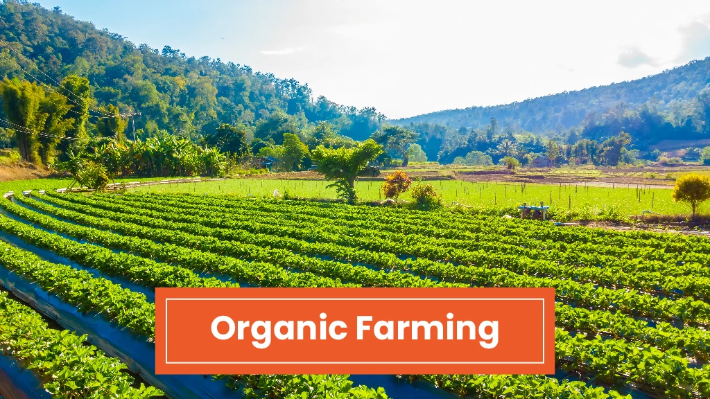 Top Agri Business - Organic Farming