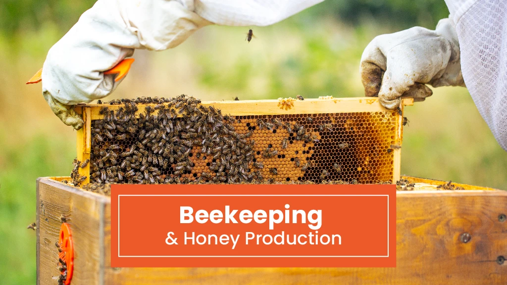 Top Agri Business - Beekeeping and Honey Production