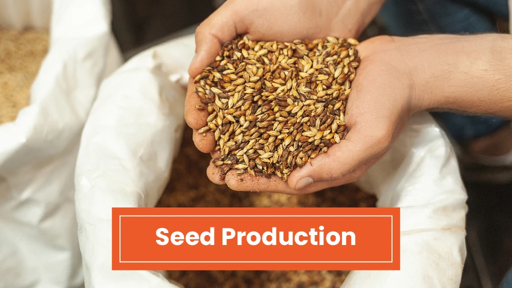 Top Agri Business - Seed Production