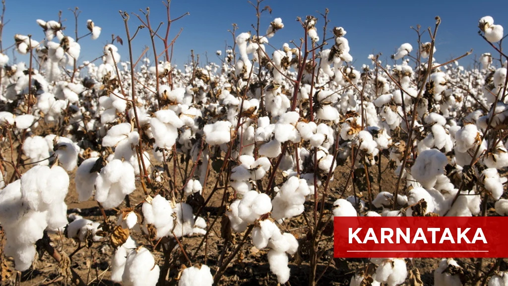 Top Cotton Producing States - Karnataka