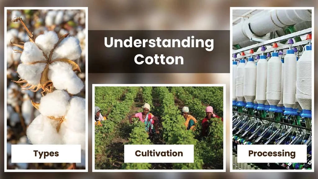 Understanding Cotton: Types, Cultivation & Processing in India