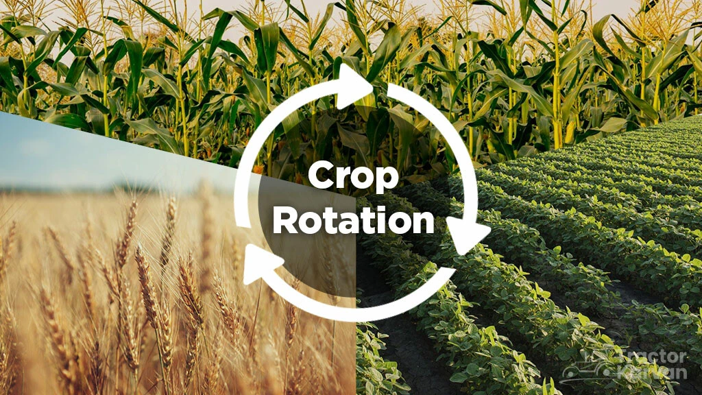 What is Crop Rotation - Importance, Advantages and Disadvantages