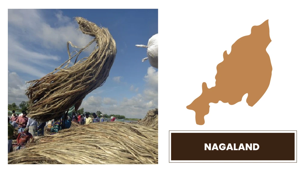Top Jute Producing States - Nagaland