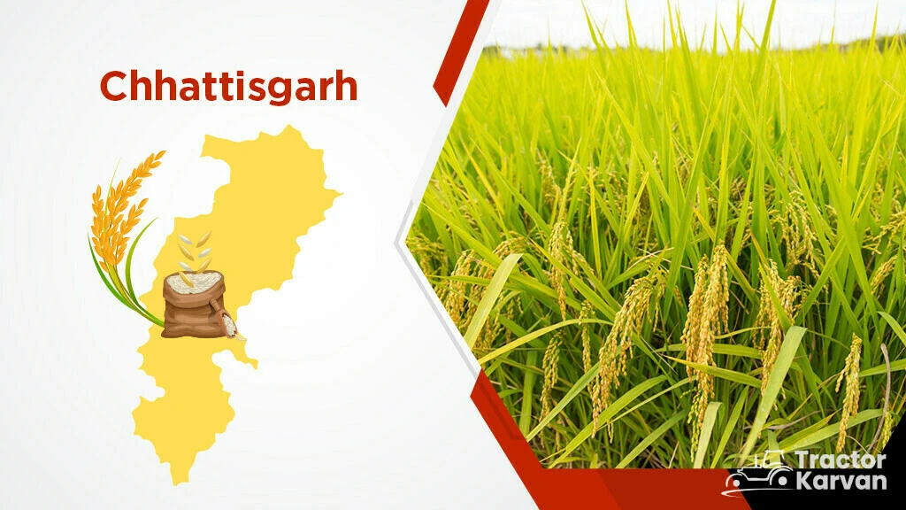 Top Rice Producing States - Chhattisgarh
