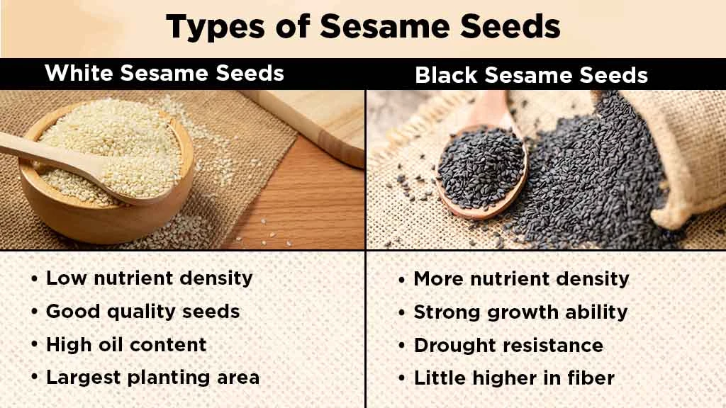 Types of Sesame Seeds