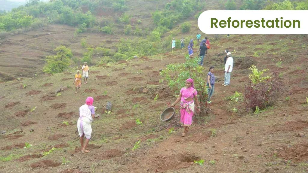 Top Soil Conservation Method - Reforestation
