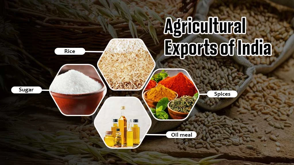 Indian Agricultural Export