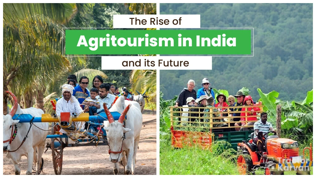 The Rise of Agritourism in India and its Future